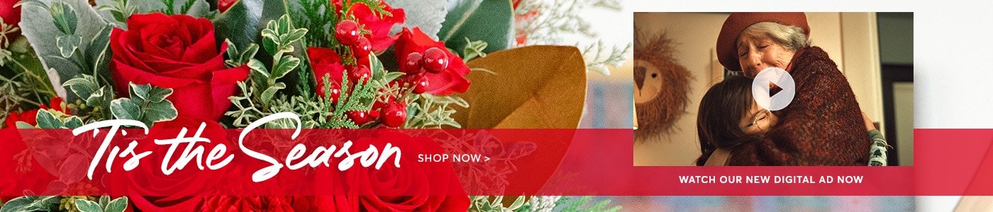 Send Christmas flowers