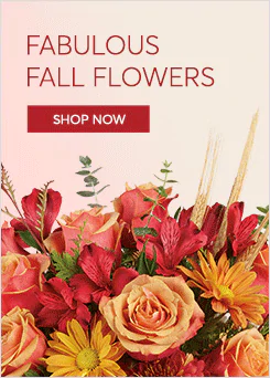 Fall Flowers Delivery
