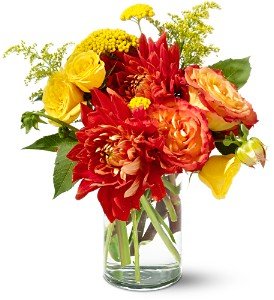 Teleflora's Dazzling Dahlias in Chicago Ridge�IL, James Saunoris & Sons