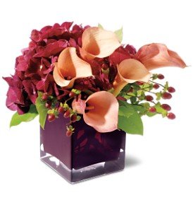 Teleflora's Calla Classique in Chicago Ridge�IL, James Saunoris & Sons