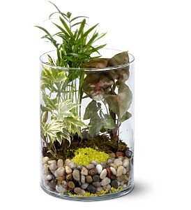 Garden in Glass in Chicago Ridge IL, James Saunoris & Sons