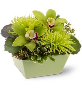 Go Green in Chicago Ridge IL, James Saunoris & Sons