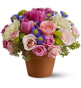 Spring Sonata in Chicago Ridge�IL, James Saunoris & Sons