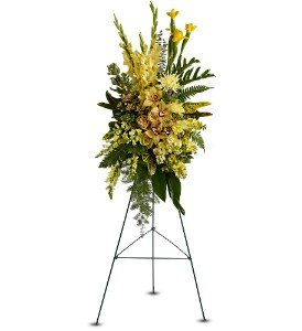 Sunshine Spray in Chicago Ridge�IL, James Saunoris & Sons