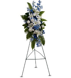 Ocean Breeze Spray in Chicago Ridge�IL, James Saunoris & Sons