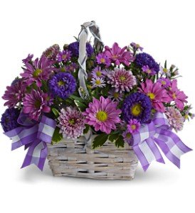 Daisy Day Dreams in Chicago Ridge�IL, James Saunoris & Sons