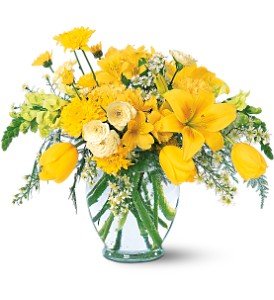 Sunshine Express in Chicago Ridge�IL, James Saunoris & Sons