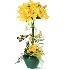 Lily Topiary in Chicago Ridge�IL, James Saunoris & Sons