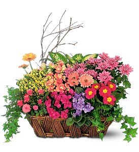Deluxe European Garden Basket in Chicago Ridge�IL, James Saunoris & Sons