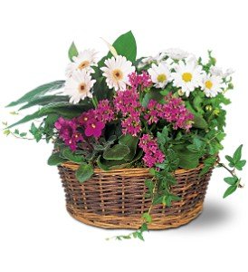 Traditional European Garden Basket in Chicago Ridge�IL, James Saunoris & Sons