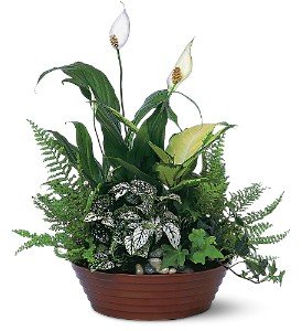 White Garden in Chicago Ridge�IL, James Saunoris & Sons