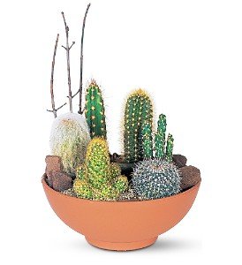 Cactus Garden in Chicago Ridge�IL, James Saunoris & Sons