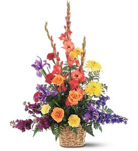 Rainbow Basket in Chicago Ridge�IL, James Saunoris & Sons