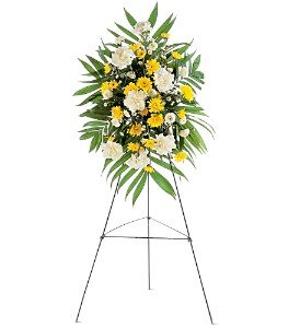 Yellow Dawn Spray in Chicago Ridge�IL, James Saunoris & Sons