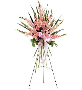 Sentimental Gladioli Spray in Chicago Ridge�IL, James Saunoris & Sons