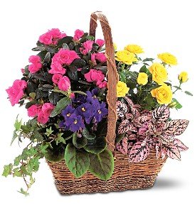 Blooming Garden Basket in Chicago Ridge�IL, James Saunoris & Sons