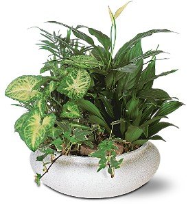 Green Garden Bowl in Chicago Ridge�IL, James Saunoris & Sons