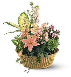 Peach Tribute Garden in Chicago Ridge�IL, James Saunoris & Sons