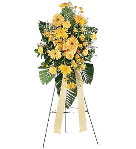 Brighter Blessings Spray in Chicago Ridge�IL, James Saunoris & Sons