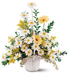 Drop of Sunshine Basket in Chicago Ridge�IL, James Saunoris & Sons