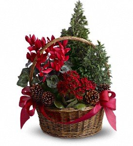 Tannenbaum Basket in Chicago Ridge IL, James Saunoris & Sons