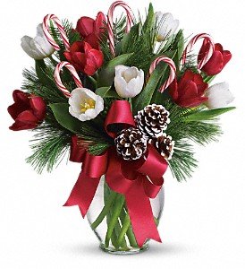 By Golly It's Jolly in Chicago Ridge IL, James Saunoris & Sons