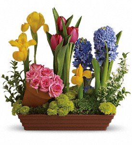 Spring Favorites in Chicago Ridge IL, James Saunoris & Sons