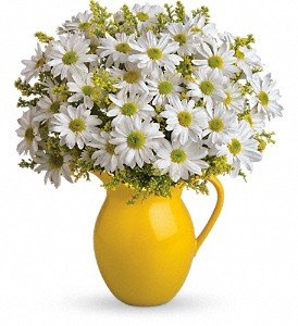 Teleflora's Sunny Day Pitcher of Daisies in Chicago Ridge IL, James Saunoris & Sons