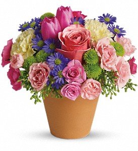 Spring Sonata in Chicago Ridge IL, James Saunoris & Sons