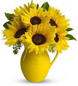 Teleflora's Sunny Day Pitcher of Sunflowers in Chicago Ridge IL, James Saunoris & Sons