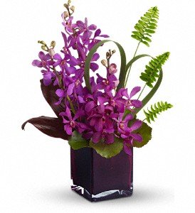 Teleflora's Island Princess in Chicago Ridge IL, James Saunoris & Sons