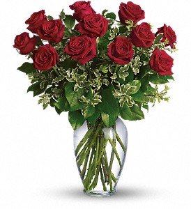 Always on My Mind - Long Stemmed Red Roses in Chicago Ridge IL, James Saunoris & Sons