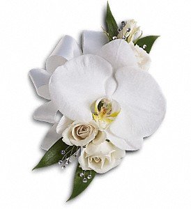 White Orchid and Rose Corsage in Chicago Ridge IL, James Saunoris & Sons
