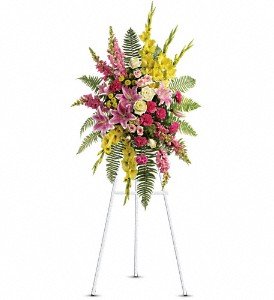 Rays of Light Spray in Chicago Ridge IL, James Saunoris & Sons