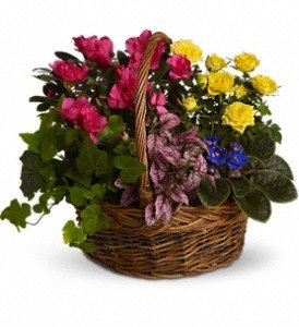 Blooming Garden Basket in Chicago Ridge IL, James Saunoris & Sons