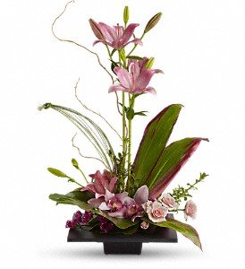 Imagination Blooms with Cymbidium Orchids in Chicago Ridge IL, James Saunoris & Sons