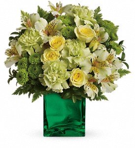 Teleflora's Emerald Elegance Bouquet in Chicago Ridge IL, James Saunoris & Sons