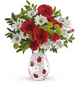 Teleflora's Lovely Ladybug Bouquet in Chicago Ridge IL, James Saunoris & Sons