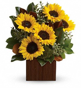 You're Golden Bouquet by Teleflora in Chicago Ridge IL, James Saunoris & Sons
