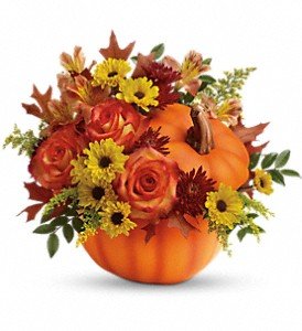 Teleflora's Warm Fall Wishes Bouquet in Chicago Ridge IL, James Saunoris & Sons