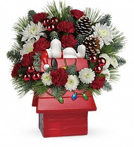 Snoopy's Cookie Jar by Teleflora in Chicago Ridge IL, James Saunoris & Sons