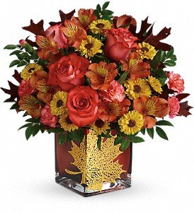 Teleflora's Roses And Maples Bouquet in Chicago Ridge IL, James Saunoris & Sons
