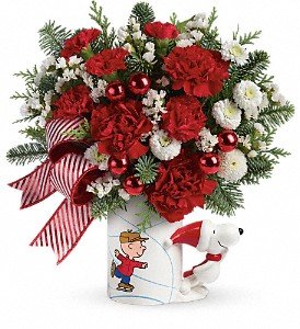 PEANUTS Christmas Mug by Teleflora in Chicago Ridge IL, James Saunoris & Sons