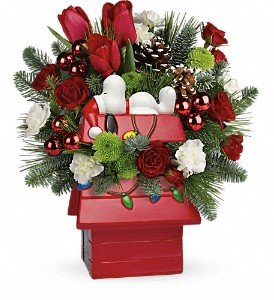 Snoopy's Merry Doghouse Jar by Teleflora in Chicago Ridge IL, James Saunoris & Sons