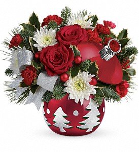 Teleflora's Sparkling Winter Wonderland in Chicago Ridge IL, James Saunoris & Sons