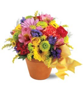 Teleflora's Fresh Blossom Potpourri in Chicago Ridge�IL, James Saunoris & Sons