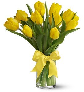 Teleflora's Sunny Yellow Tulips in Chicago Ridge�IL, James Saunoris & Sons