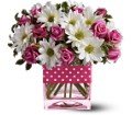 Teleflora's Polka Dots and Posies in Chicago Ridge IL James Saunoris & Sons