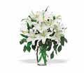 Perfect White Lilies in Chicago Ridge IL James Saunoris & Sons