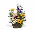 Basket & Bear Arrangement in Chicago Ridge IL James Saunoris & Sons
